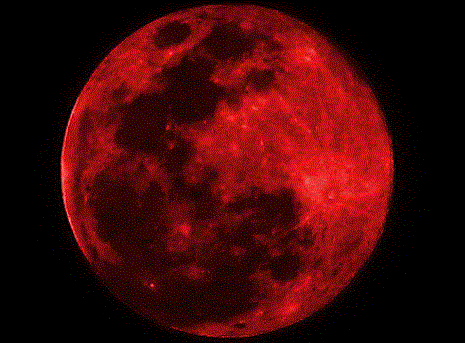 The Shemitah, Four Blood Moons and the Most Important Preparation